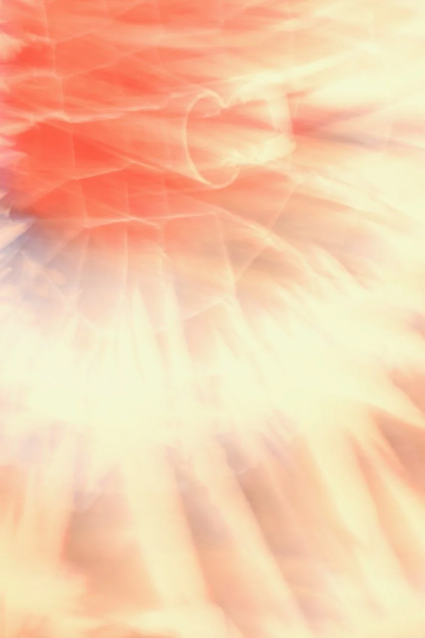  Movement 2024:457 (2024) C-print on wood panel, 60"x40" 