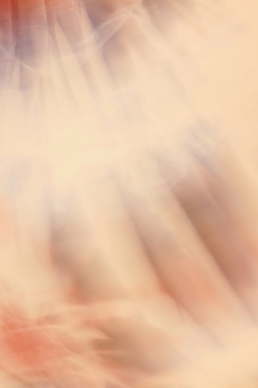  Movement 2024:459 (2024) C-print on wood panel, 60"x40" 