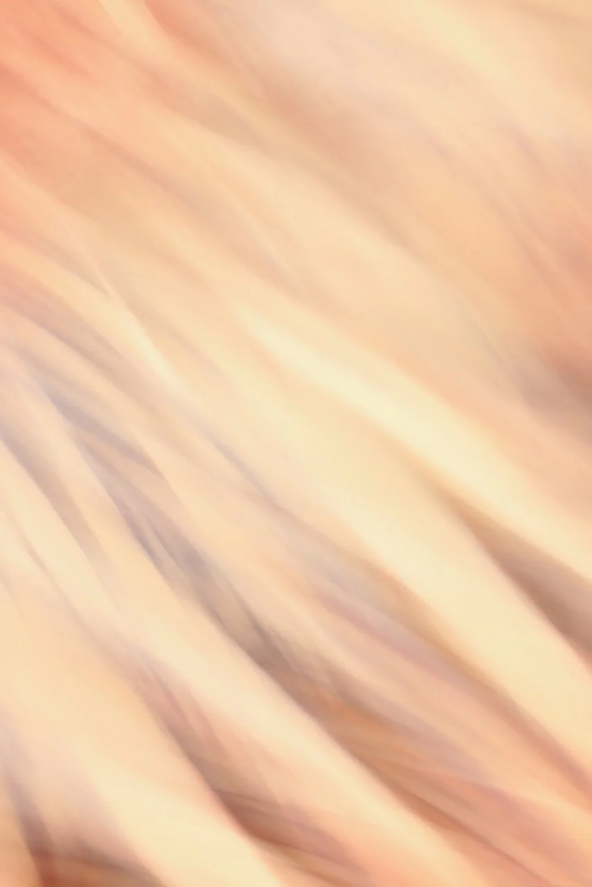  Movement 2024:460 (2024) C-print on wood panel, 60"x40" 