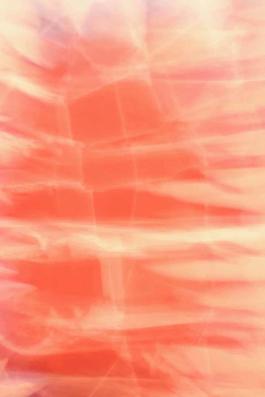  Movement 2024:461 (2024) C-print on wood panel, 60"x40" 