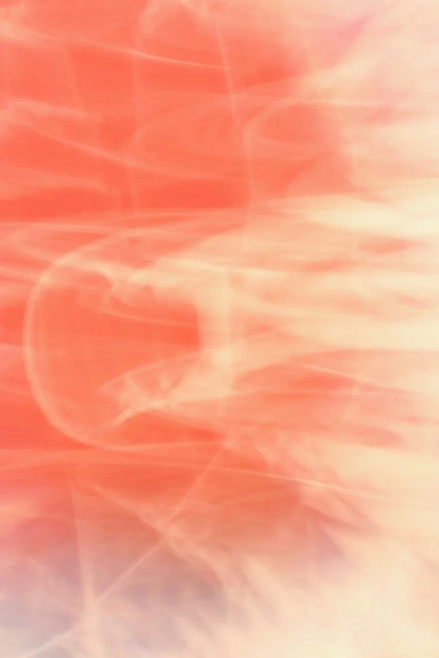  Movement 2024:462 (2024) C-print on wood panel, 60"x40" 