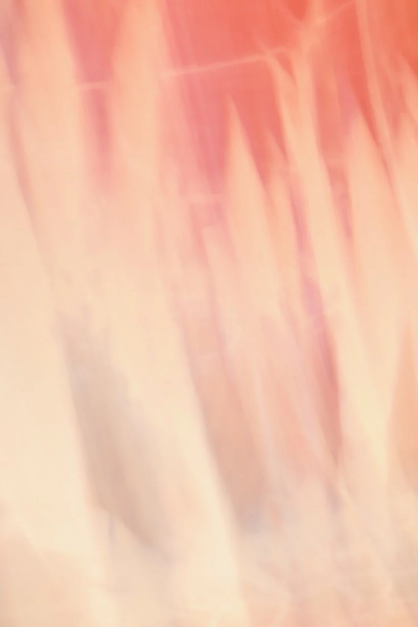  Movement 2024:464 (2024) C-print on wood panel, 60"x40" 