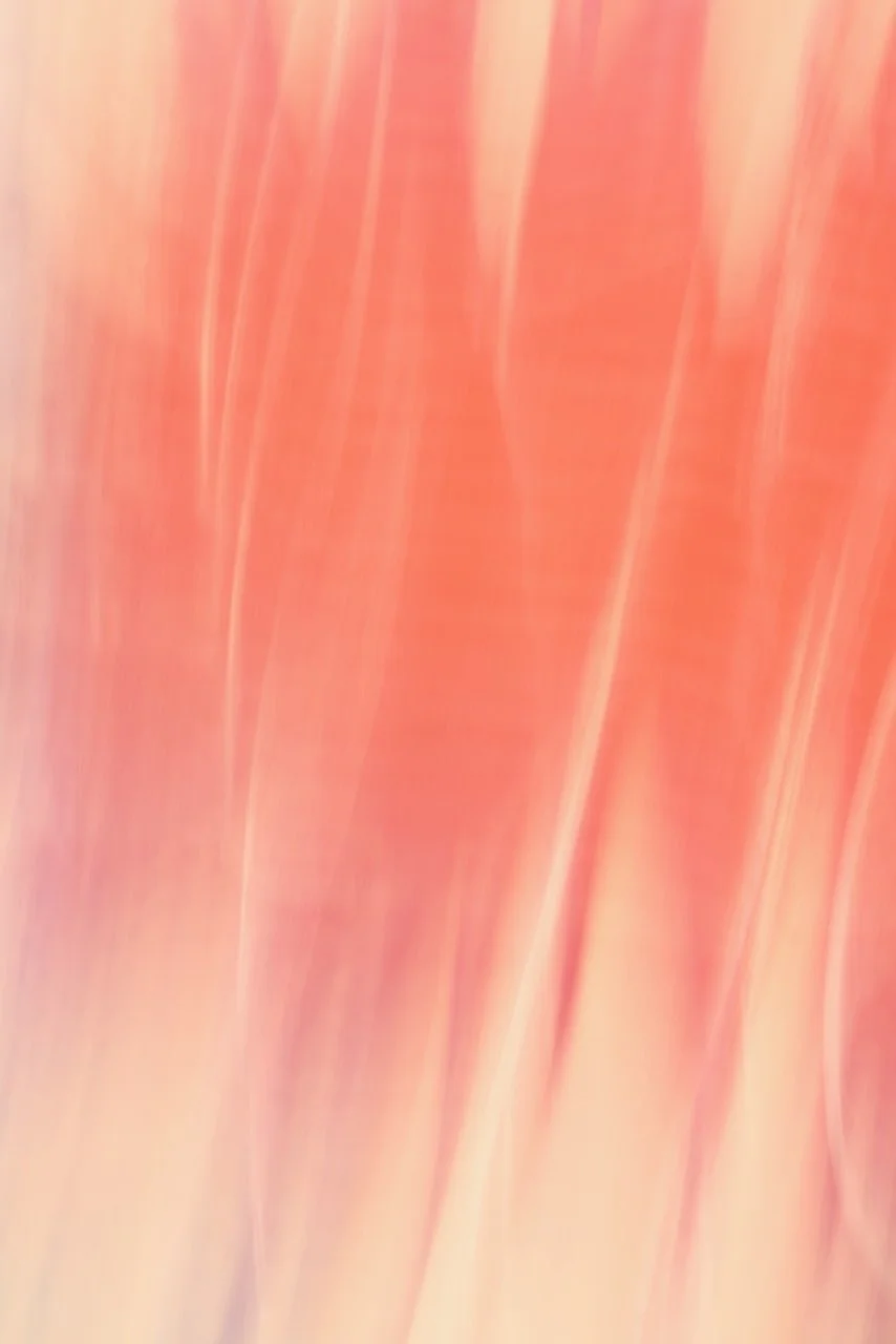  Movement 2024:465 (2024) C-print on wood panel, 60"x40" 