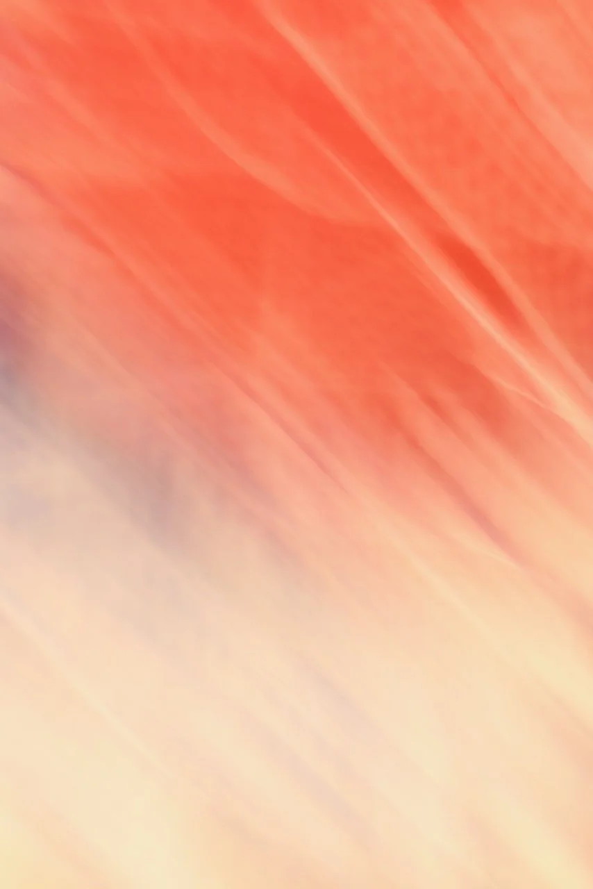  Movement 2024:467 (2024) C-print on wood panel, 60"x40" 