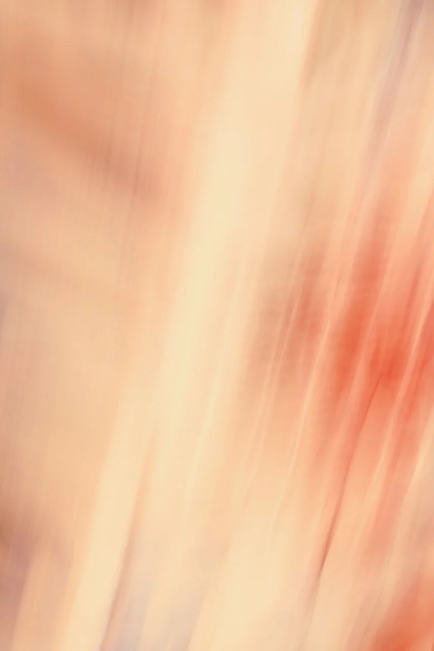  Movement 2024:470 (2024) C-print on wood panel, 60"x40" 