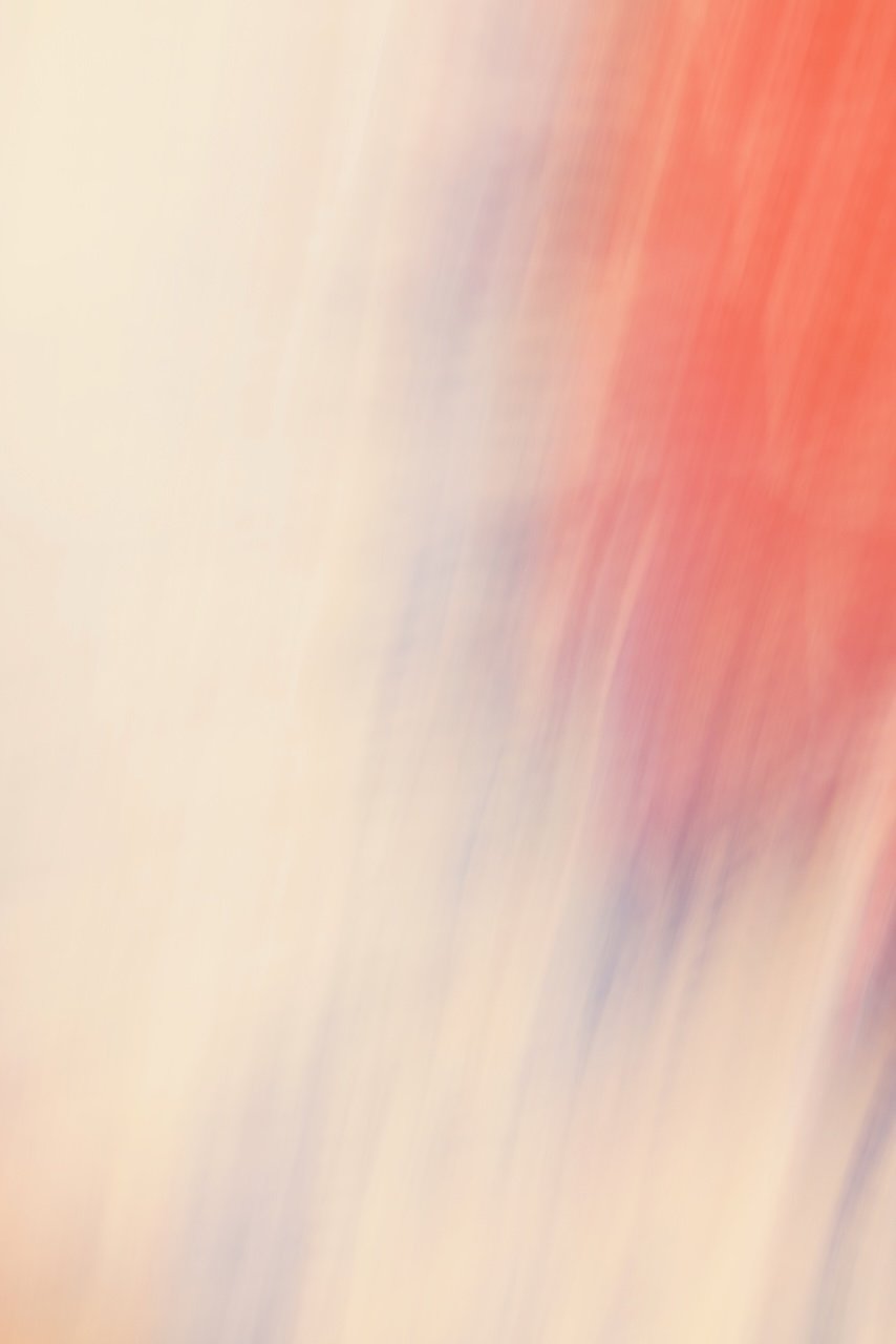  Movement 2024:471 (2024) C-print on wood panel, 60"x40"1 