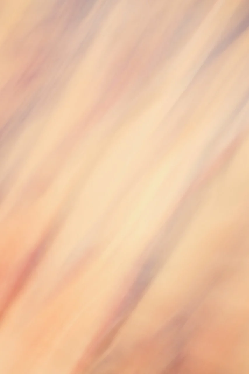  Movement 2024:472 (2024) C-print on wood panel, 60"x40" 