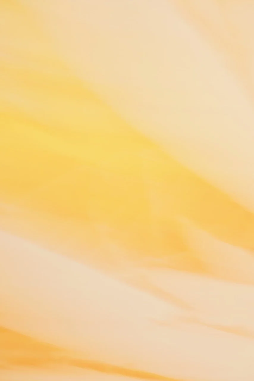  Movement 2024:473 (2024) C-print on wood panel, 60"x40" 