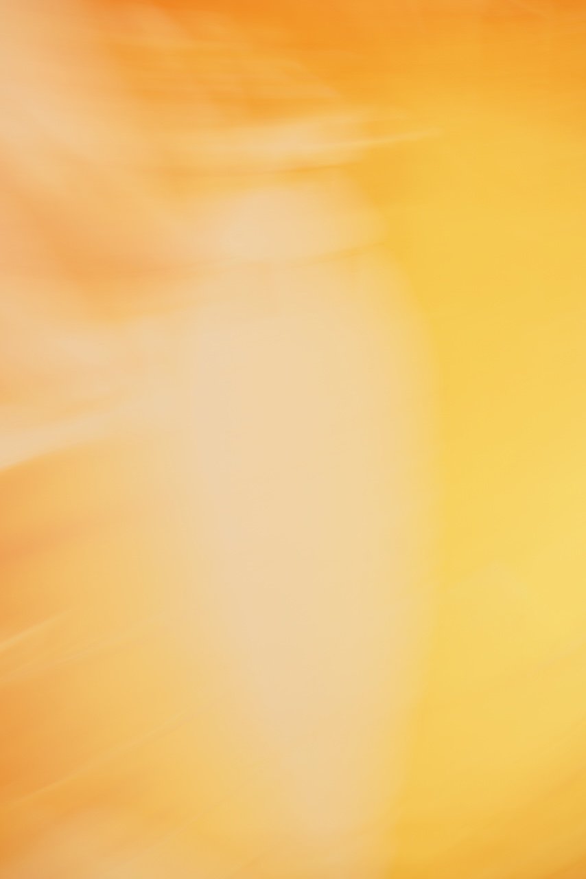  Movement 2024:474 (2024) C-print on wood panel, 60"x40" 