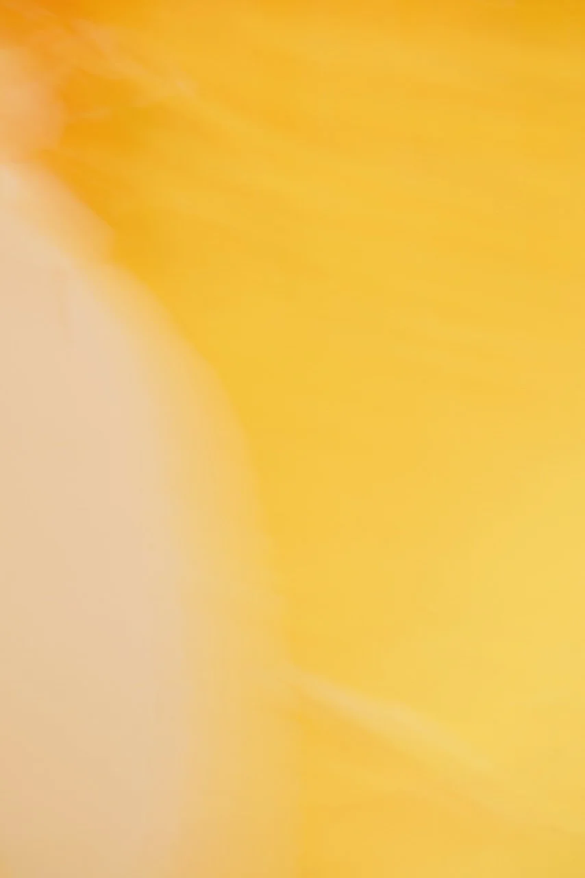  Movement 2024:475 (2024) C-print on wood panel, 60"x40" 