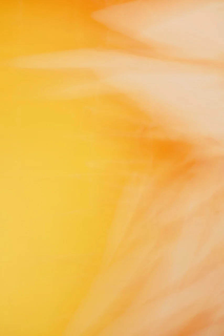  Movement 2024:476 (2024) C-print on wood panel, 60"x40" 