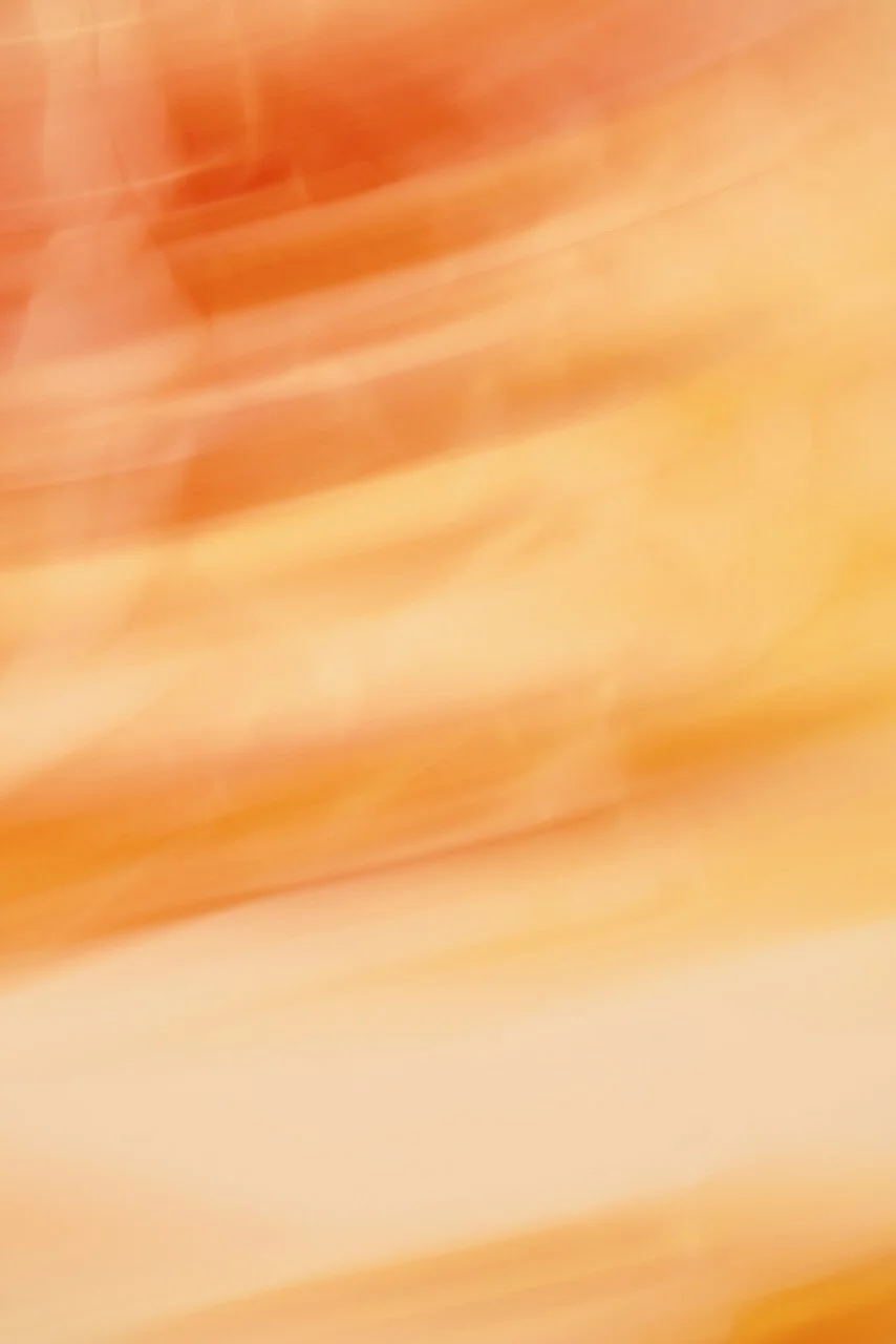  Movement 2024:478 (2024) C-print on wood panel, 60"x40" 