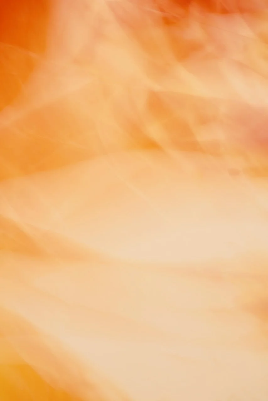  Movement 2024:479 (2024) C-print on wood panel, 60"x40" 