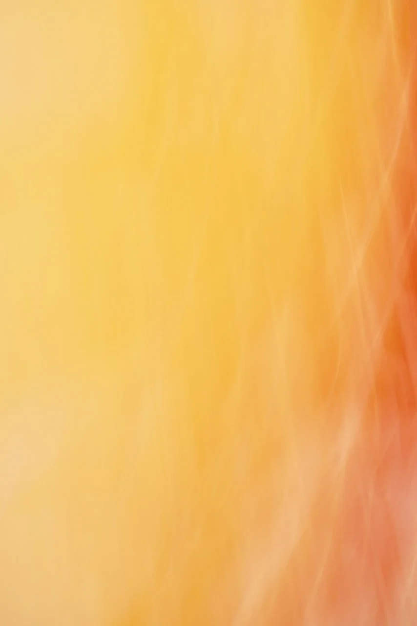  Movement 2024:480 (2024) C-print on wood panel, 60"x40" 