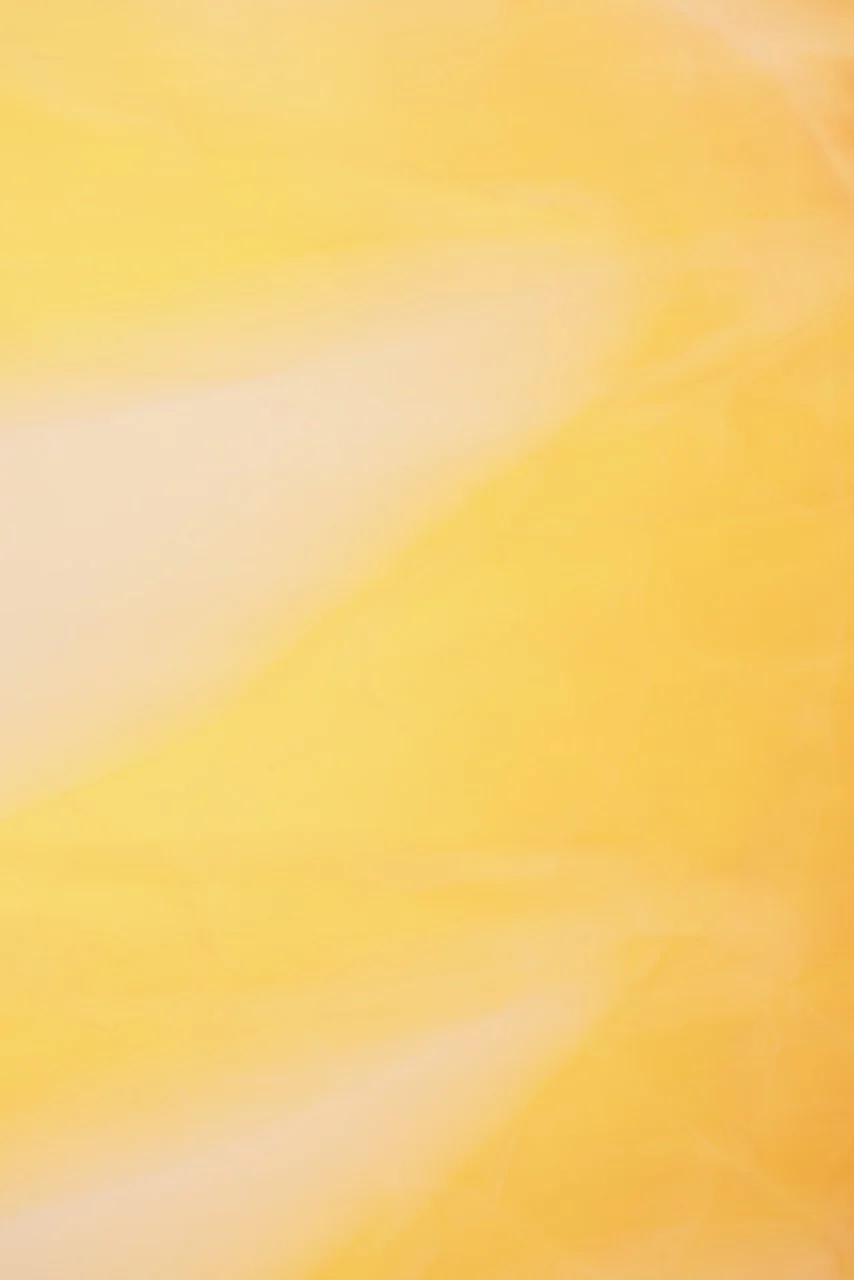  Movement 2024:481 (2024) C-print on wood panel, 60"x40" 