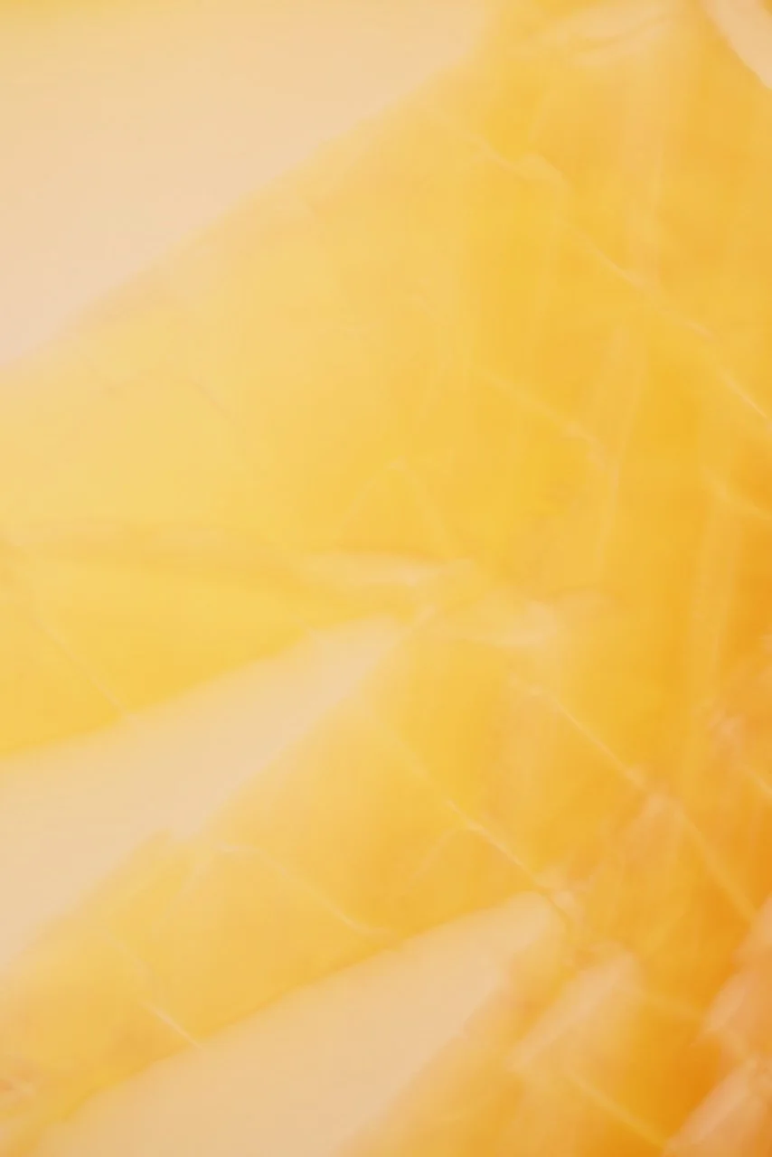  Movement 2024:482 (2024) C-print on wood panel, 60"x40" 