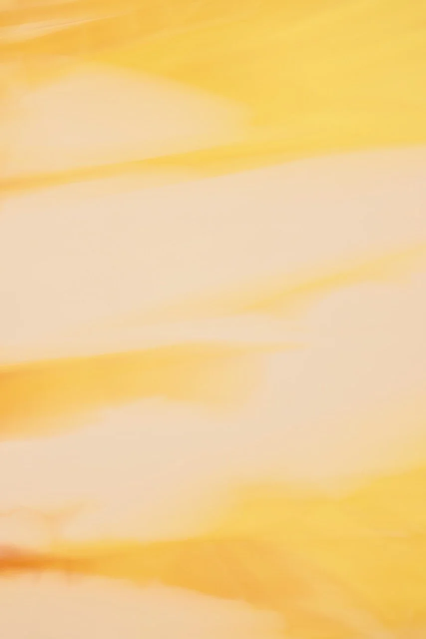  Movement 2024:483 (2024) C-print on wood panel, 60"x40" 