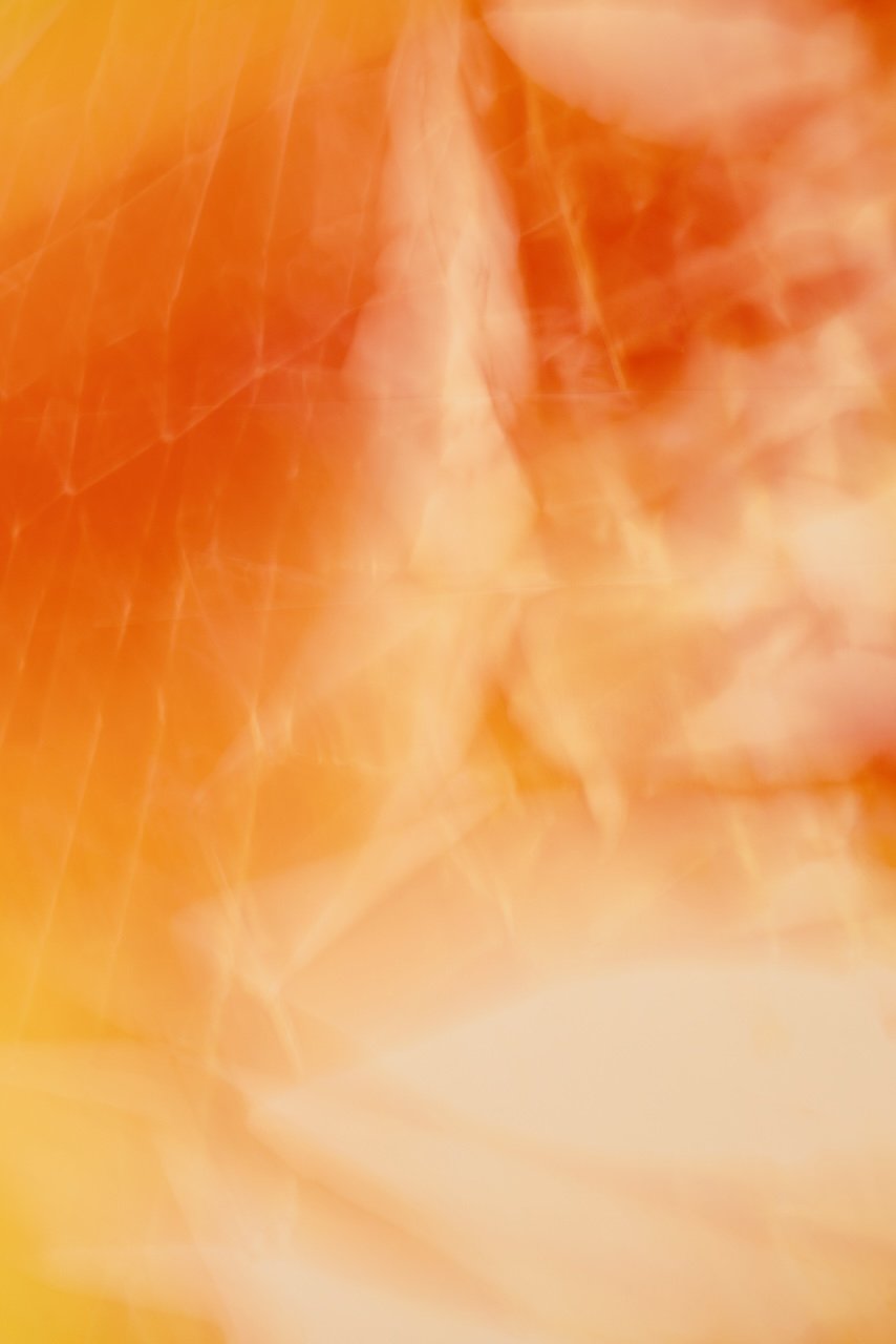  Movement 2024:484 (2024) C-print on wood panel, 60"x40" 