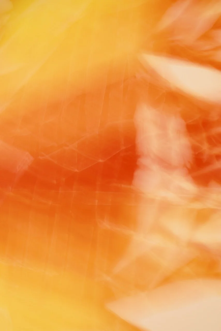  Movement 2024:486 (2024) C-print on wood panel, 60"x40" 