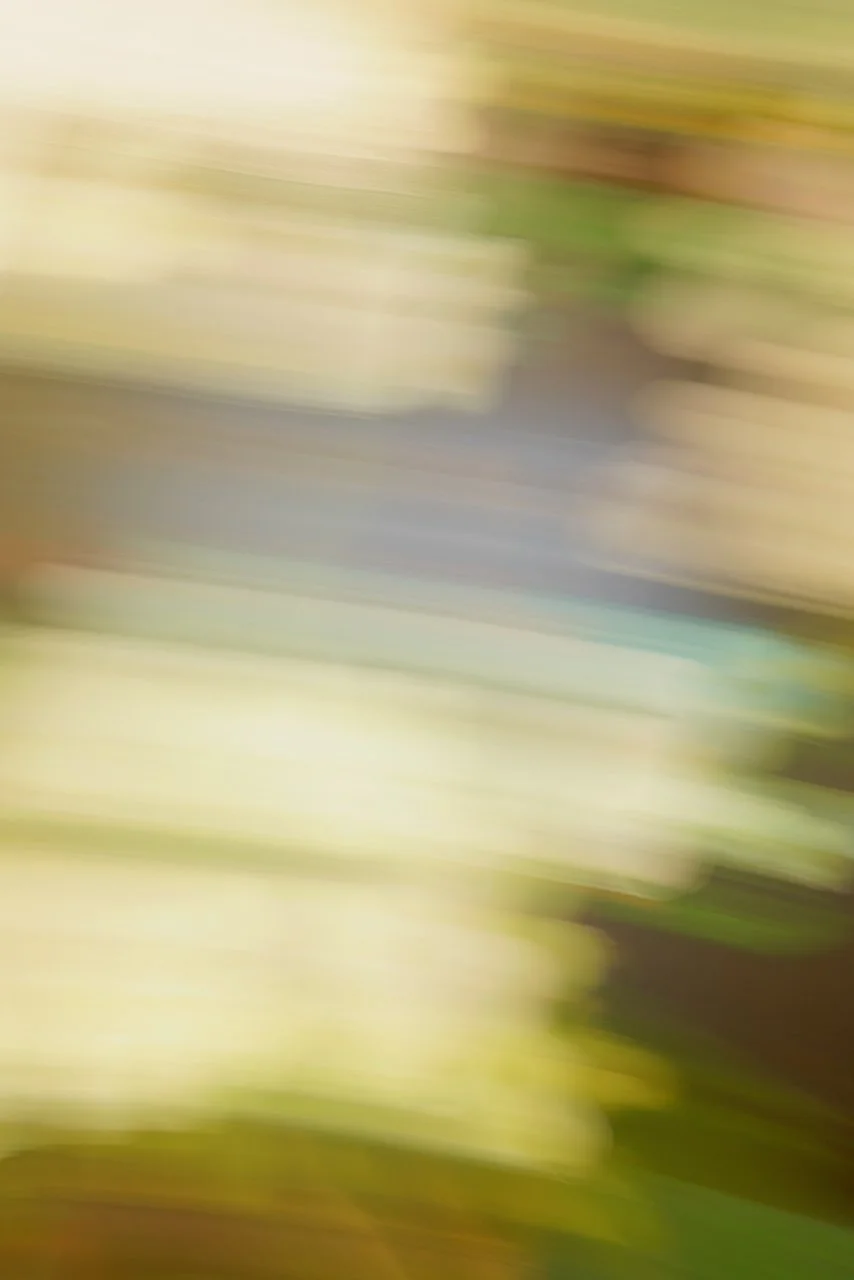  Movement 2024:488 (2024) C-print on wood panel, 60"x40" 