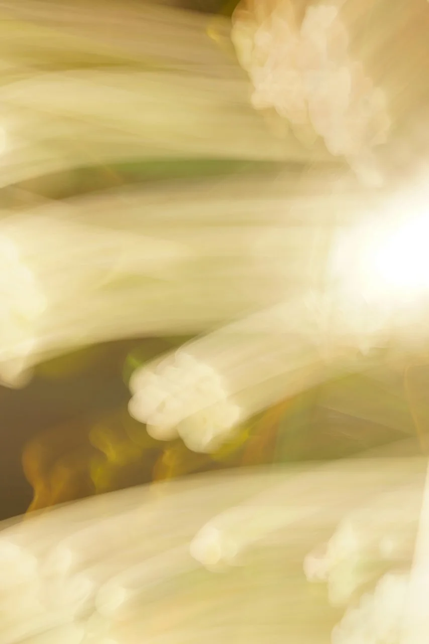  Movement 2024:489 (2024) C-print on wood panel, 60"x40" 