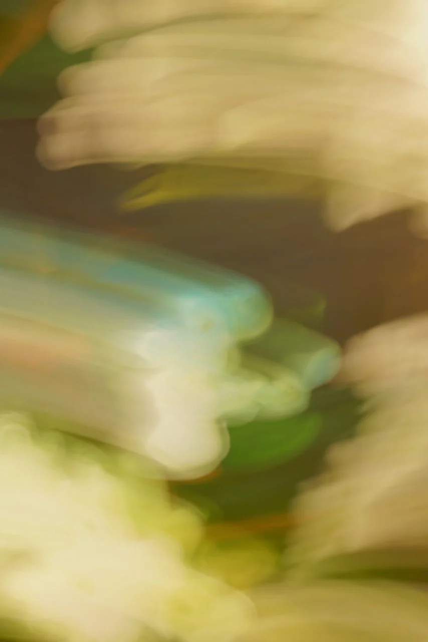  Movement 2024:490 (2024) C-print on wood panel, 60"x40" 