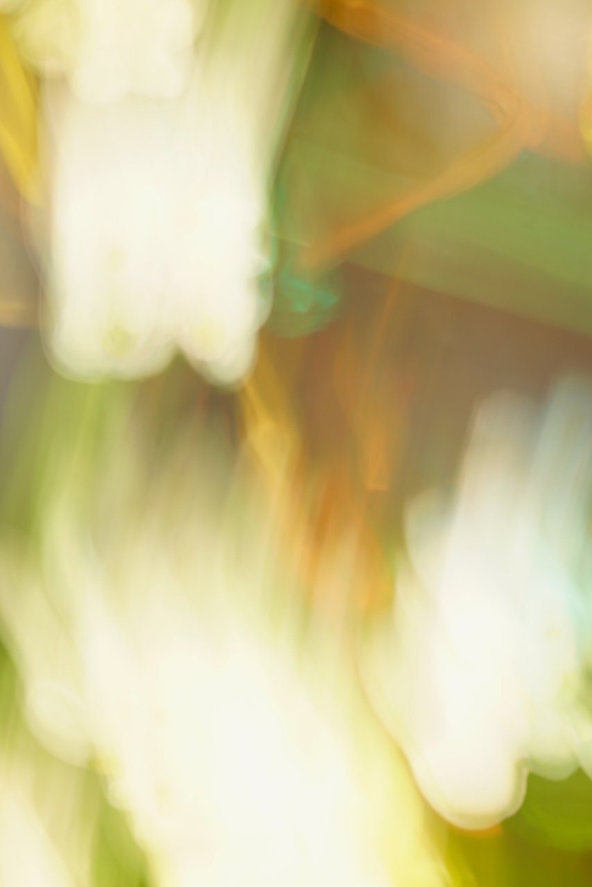  Movement 2024:491 (2024) C-print on wood panel, 60"x40" 