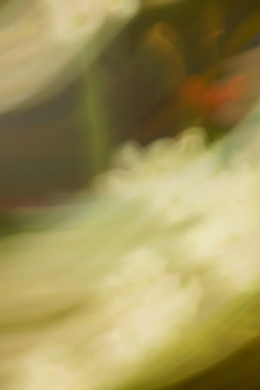  Movement 2024:492 (2024) C-print on wood panel, 60"x40" 