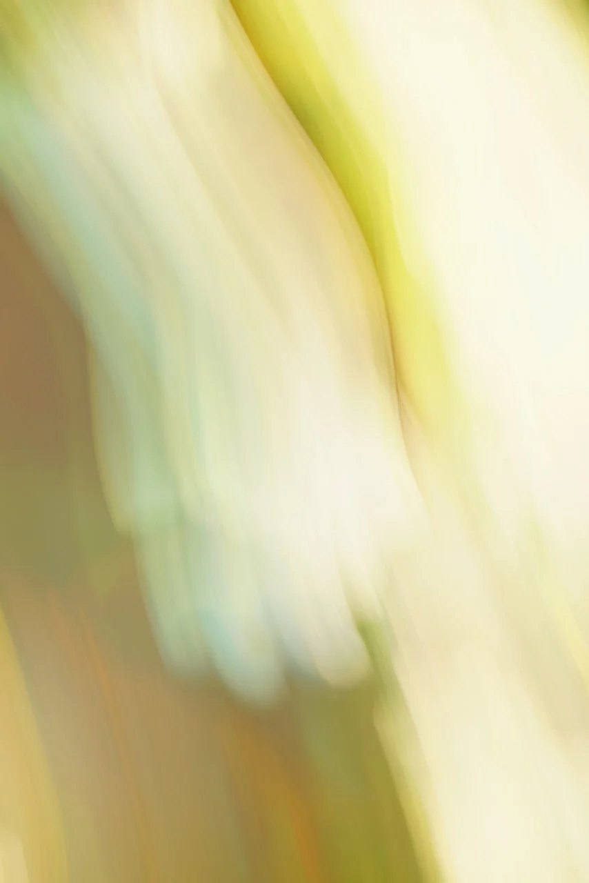  Movement 2024:493 (2024) C-print on wood panel, 60"x40" 