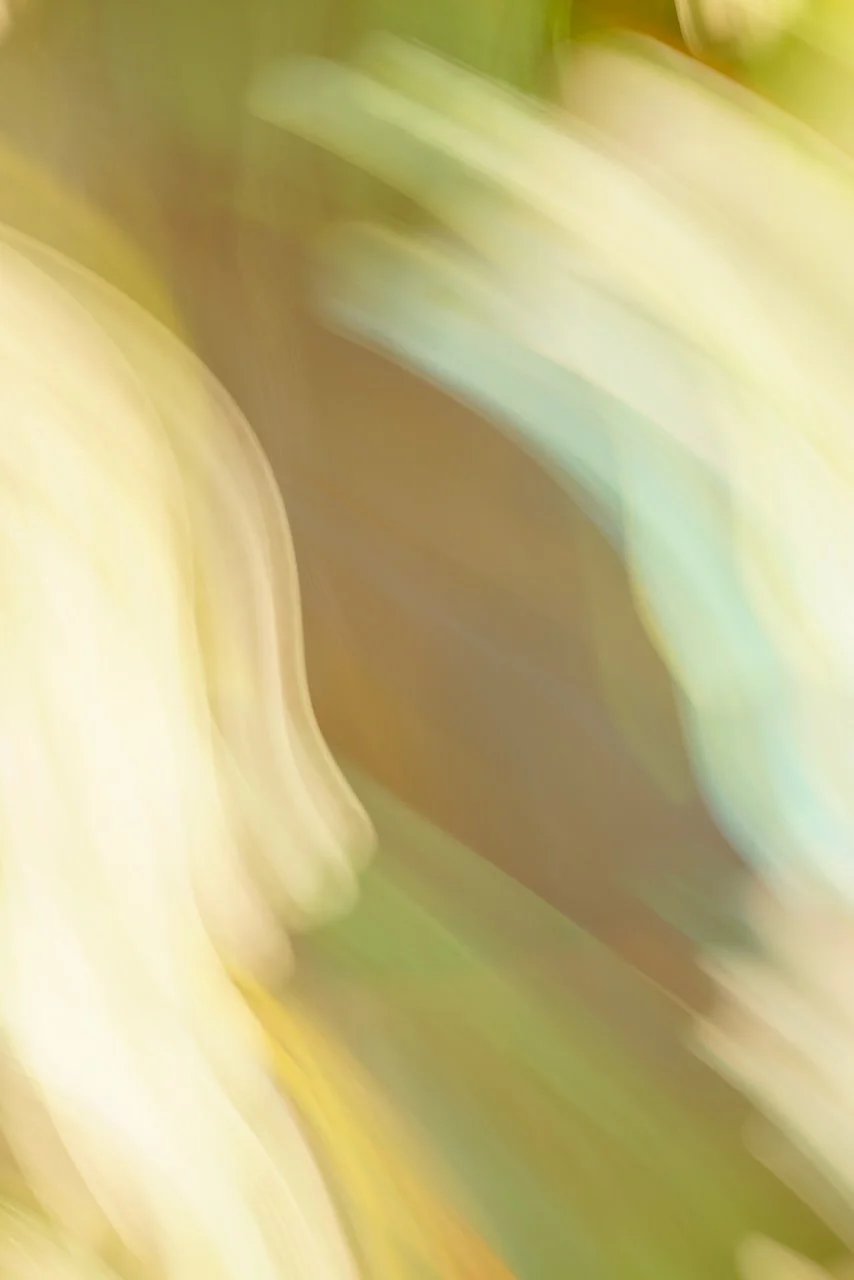  Movement 2024:494 (2024) C-print on wood panel, 60"x40" 