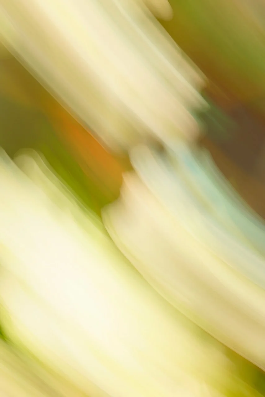  Movement 2024:495 (2024) C-print on wood panel, 60"x40" 