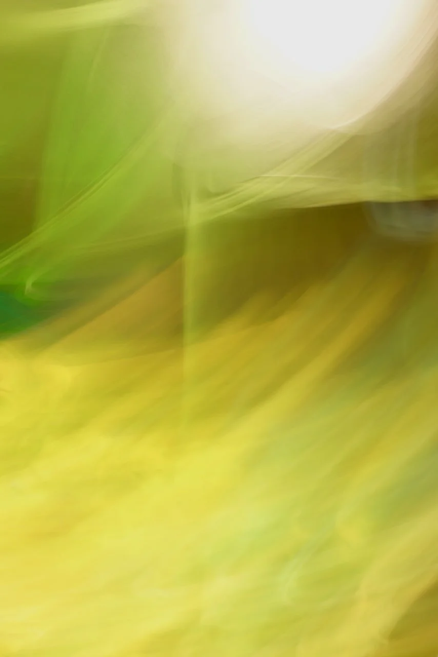  Movement 2024:496 (2024) C-print on wood panel, 60"x40" 