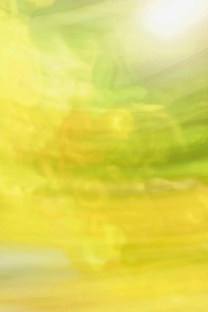  Movement 2024:497 (2024) C-print on wood panel, 60"x40" 