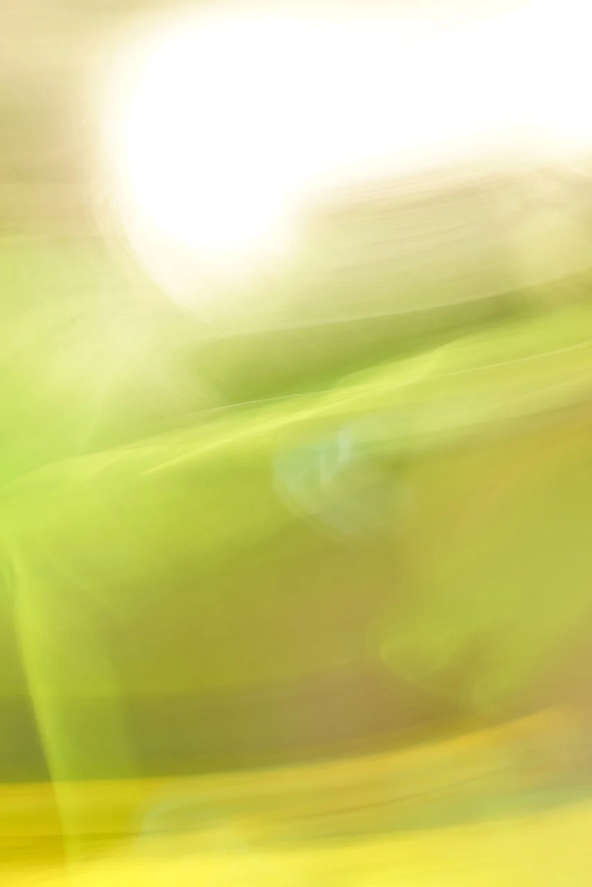  Movement 2024:498 (2024) C-print on wood panel, 60"x40" 