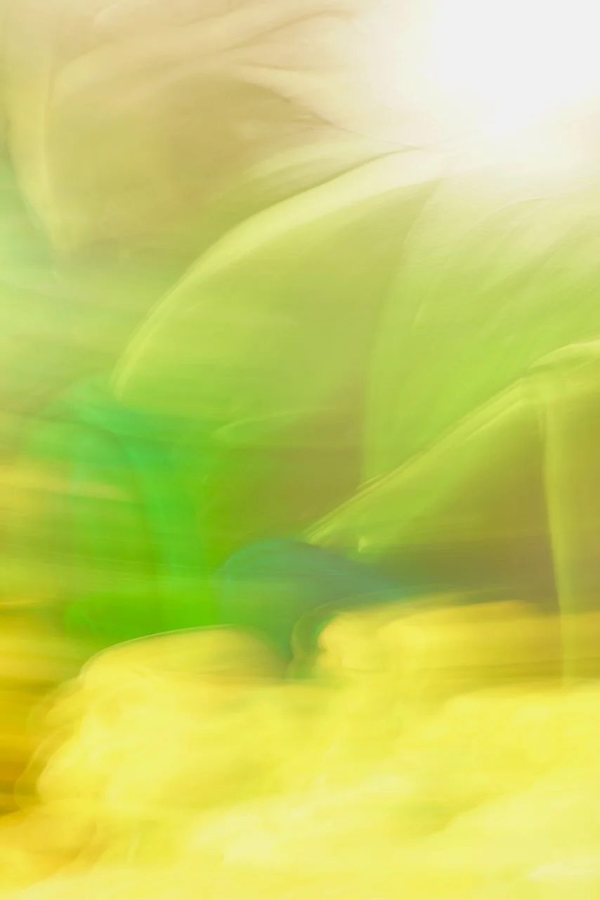  Movement 2024:499 (2024) C-print on wood panel, 60"x40" 