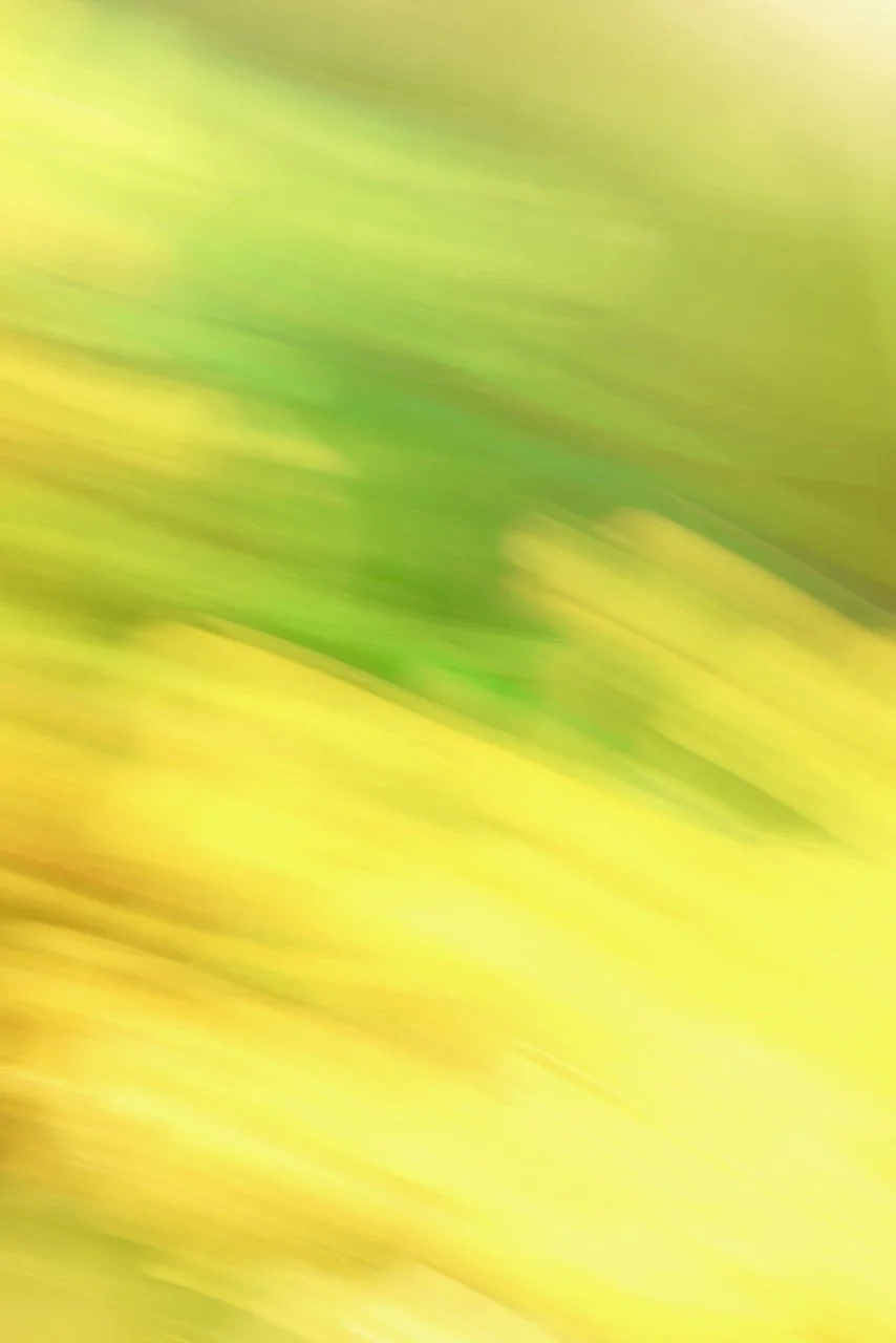  Movement 2024:500 (2024) C-print on wood panel, 60"x40" 