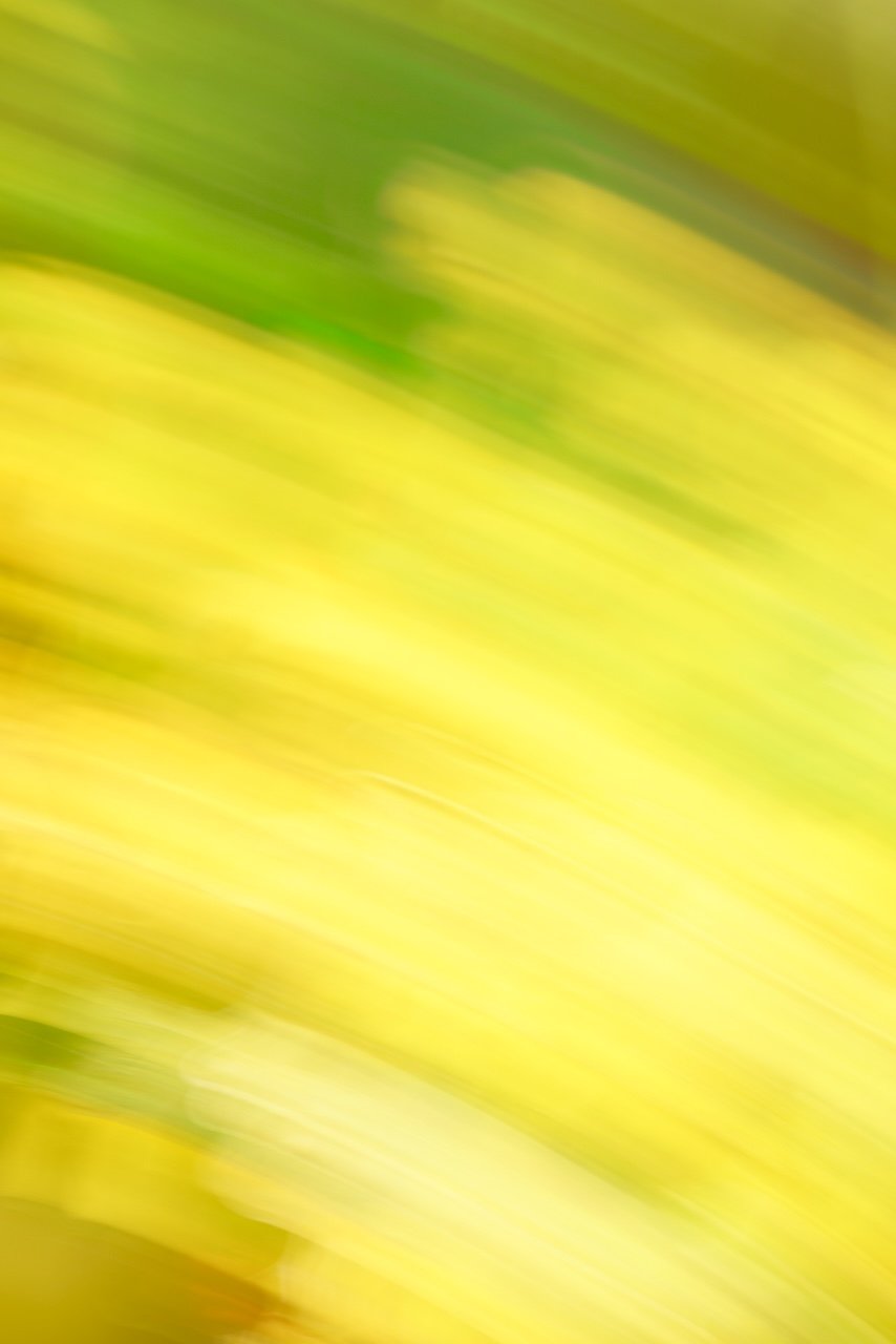  Movement 2024:501 (2024) C-print on wood panel, 60"x40" 