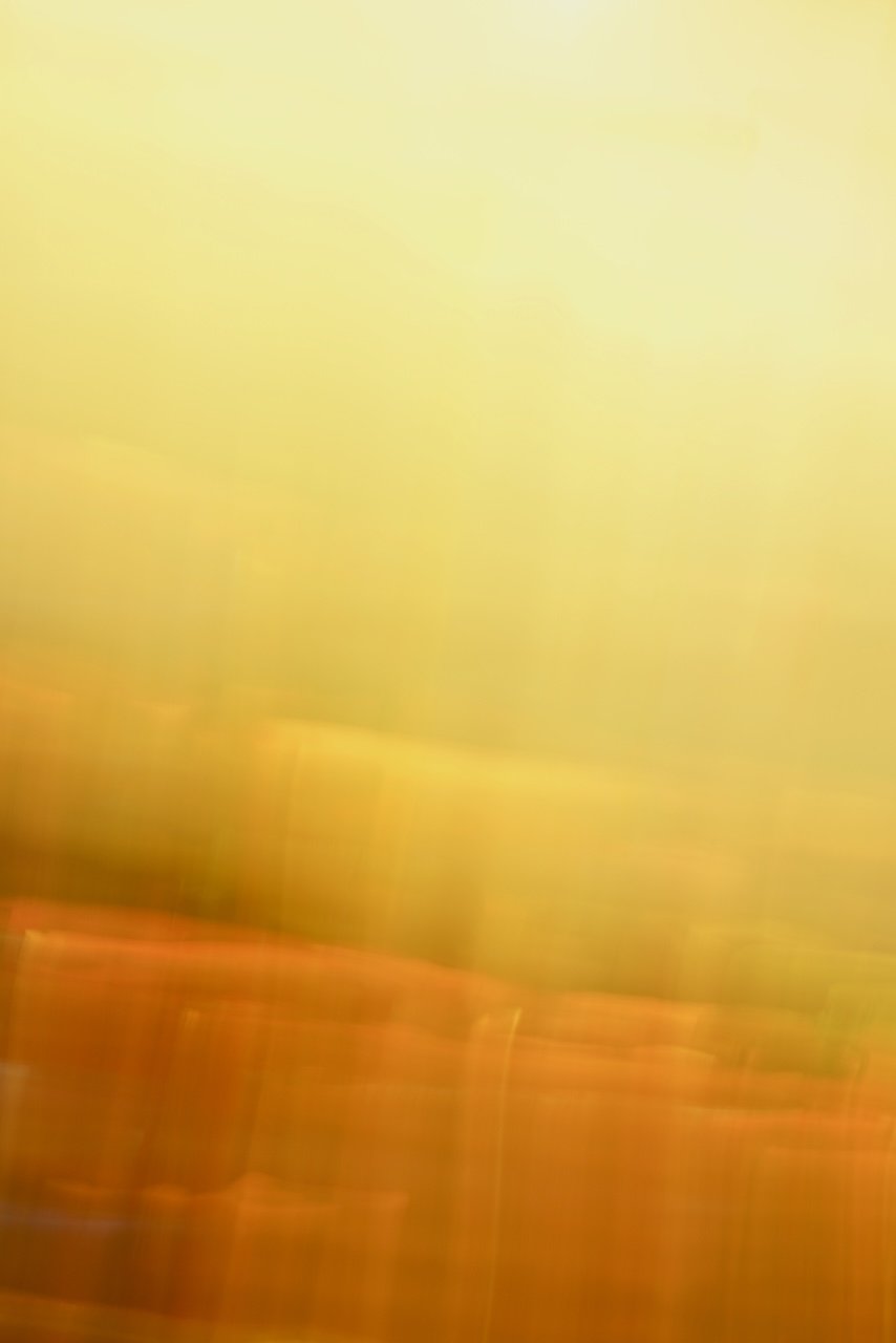  Movement 2024:503 (2024) C-print on wood panel, 60"x40" 