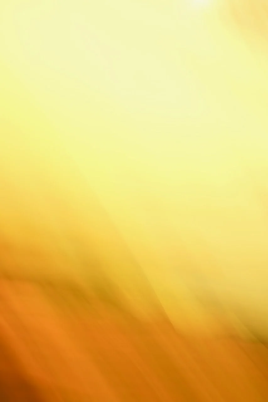  Movement 2024:506 (2024) C-print on wood panel, 60"x40" 