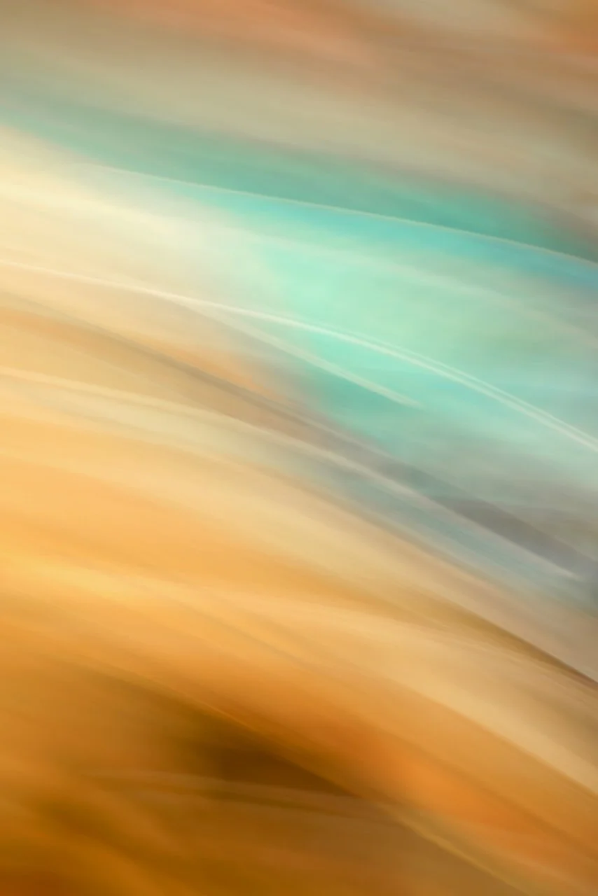  Movement 2024:513 (2024) C-print on wood panel, 60"x40" 