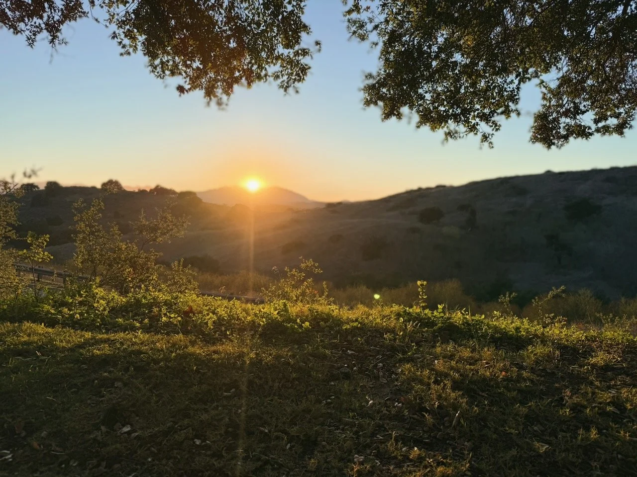  Clusters 2025:2 (2025) C-print on wood panel, 60”x40” 