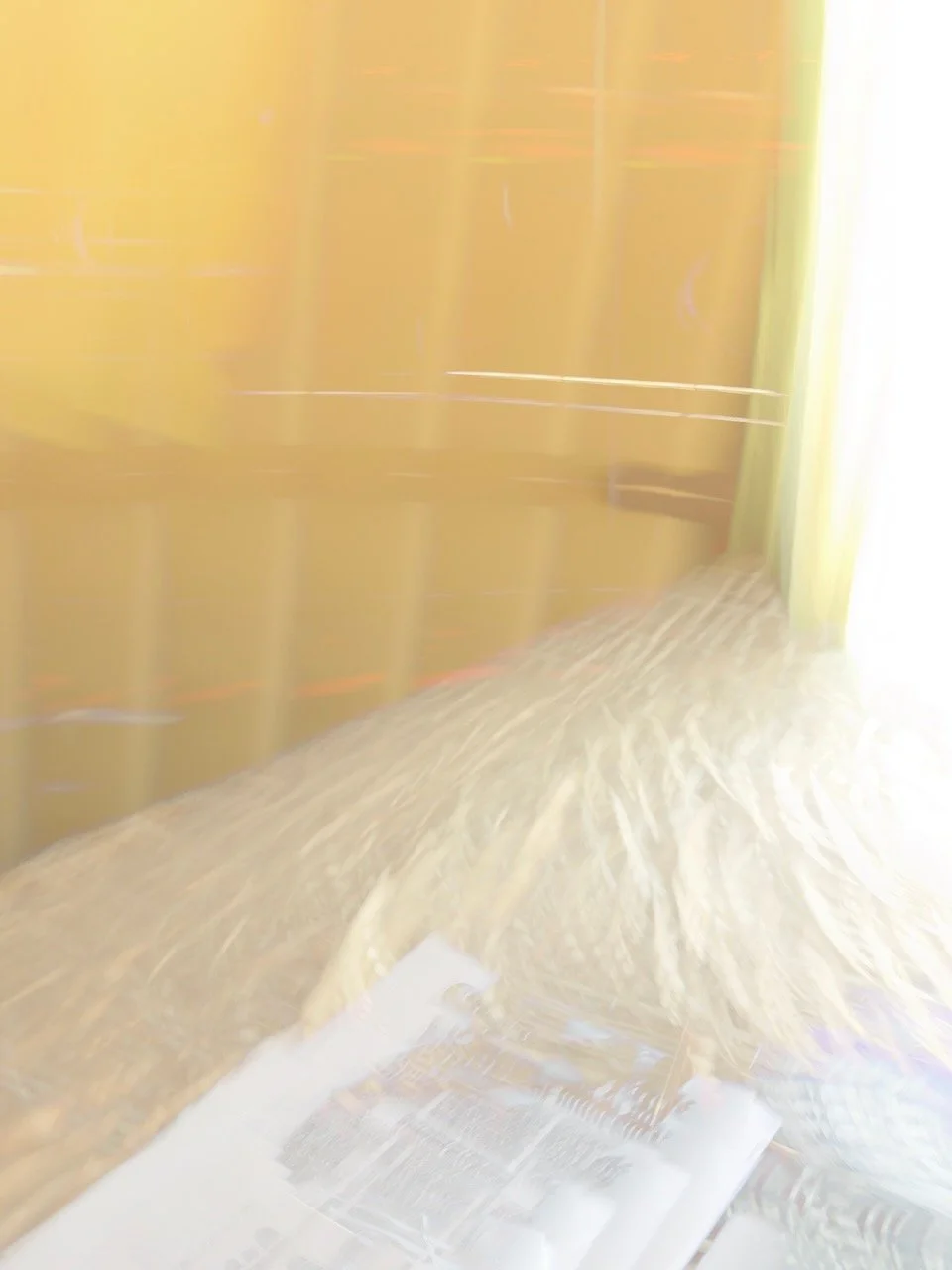  Movement 2025:2 (2025) C-print on wood panel, 60”x40” 