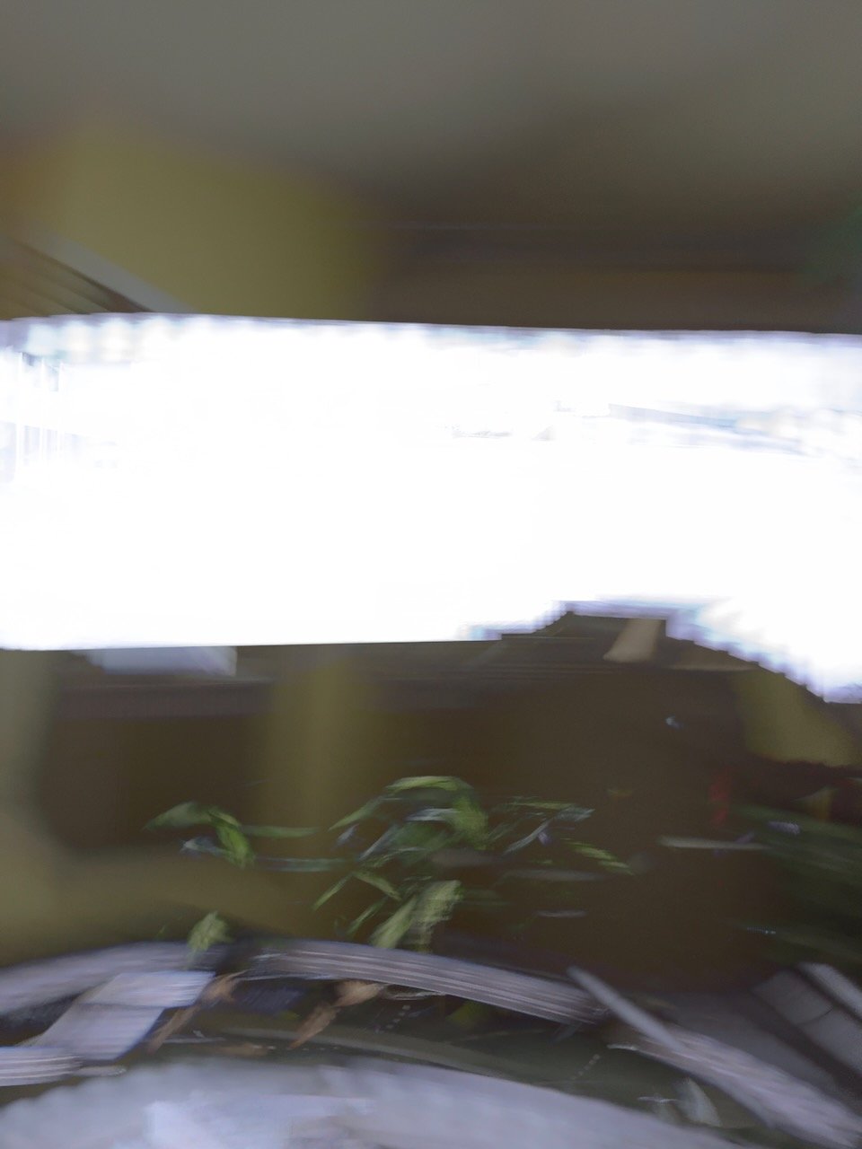  Movement 2025:4 (2025) C-print on wood panel, 60”x40” 