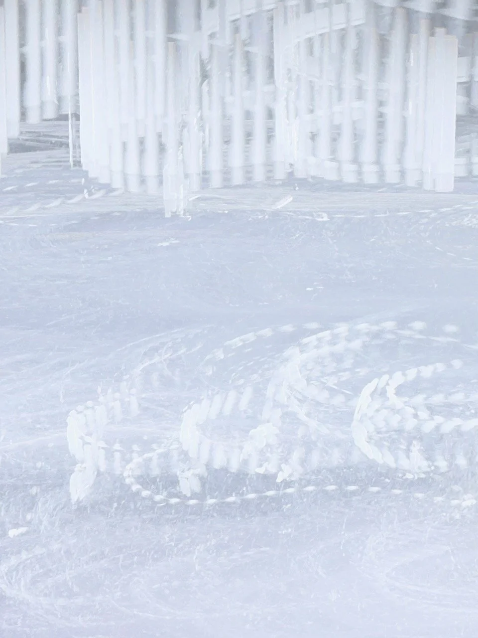  Movement 2025:7 (2025) C-print on wood panel, 60”x40” 