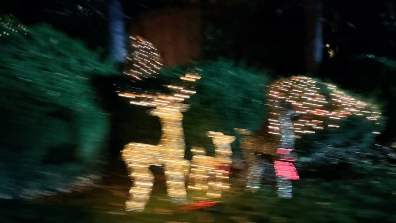  Movement 2025:10 (2025) C-print on wood panel, 60”x40” 