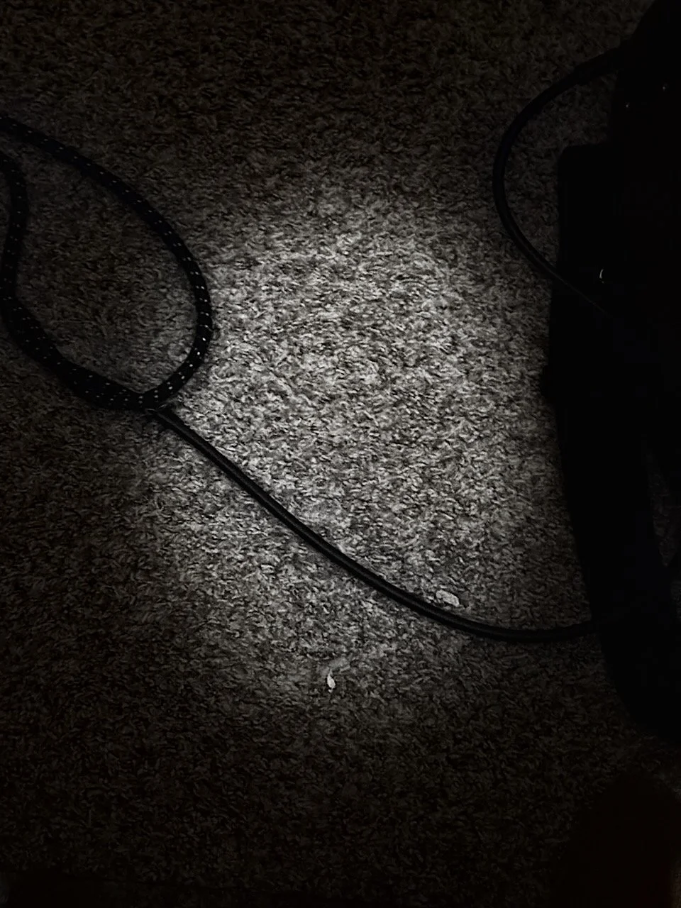  Objects 2025:9 (2025) C-print on wood panel, 60”x40” 