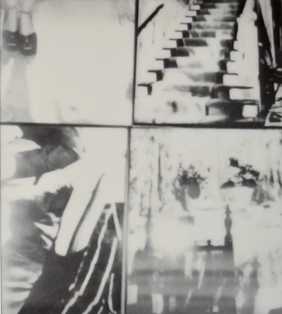  Re-photographed 2025:5 (2025) C-print on wood panel, 60”x40” 