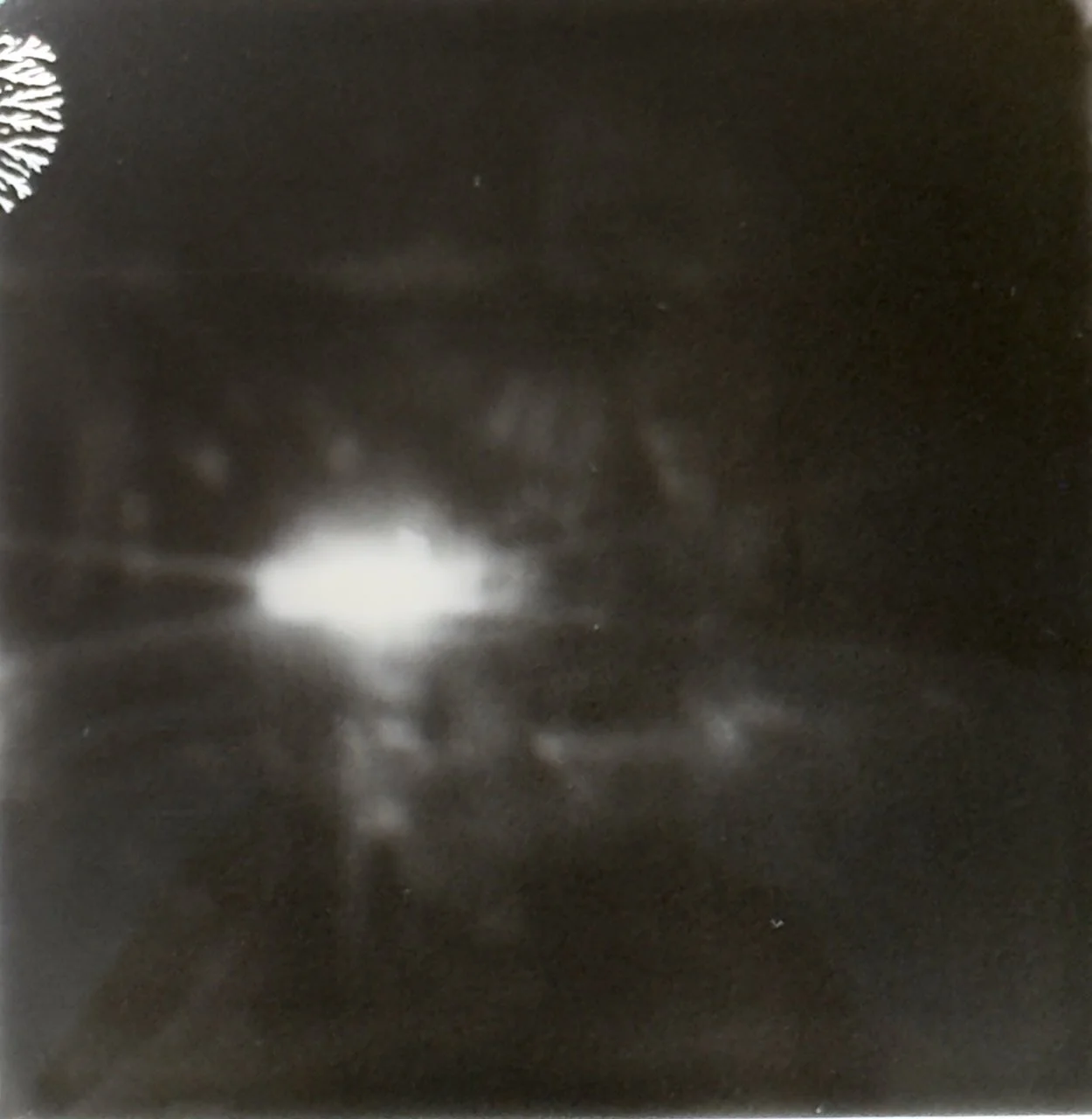  Re-photographed 2025:6 (2025) C-print on wood panel, 60”x40” 