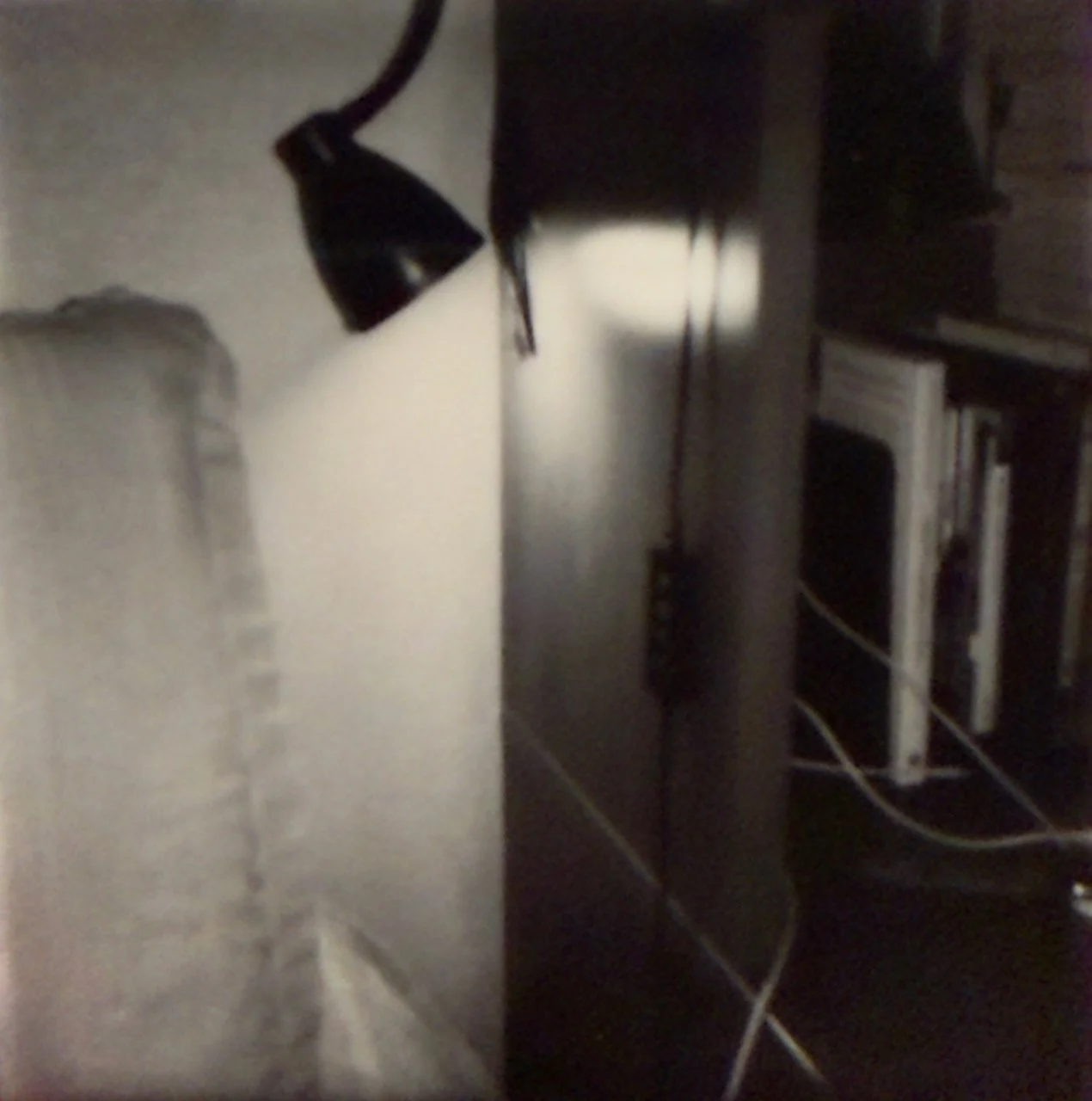  Re-photographed 2025:6 (2025) C-print on wood panel, 60”x40” 