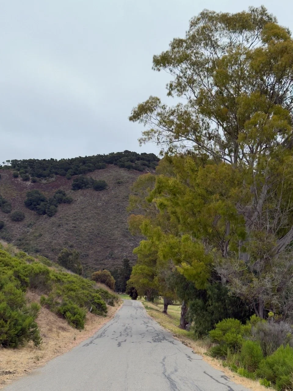  Spaces 2025:1 (2025) C-print on wood panel, 60”x40” 